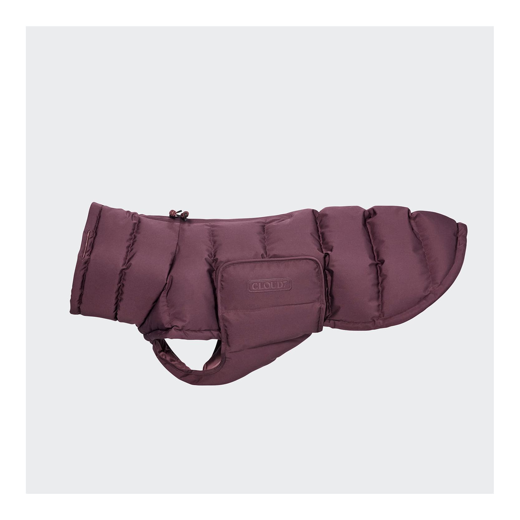 Aubergine