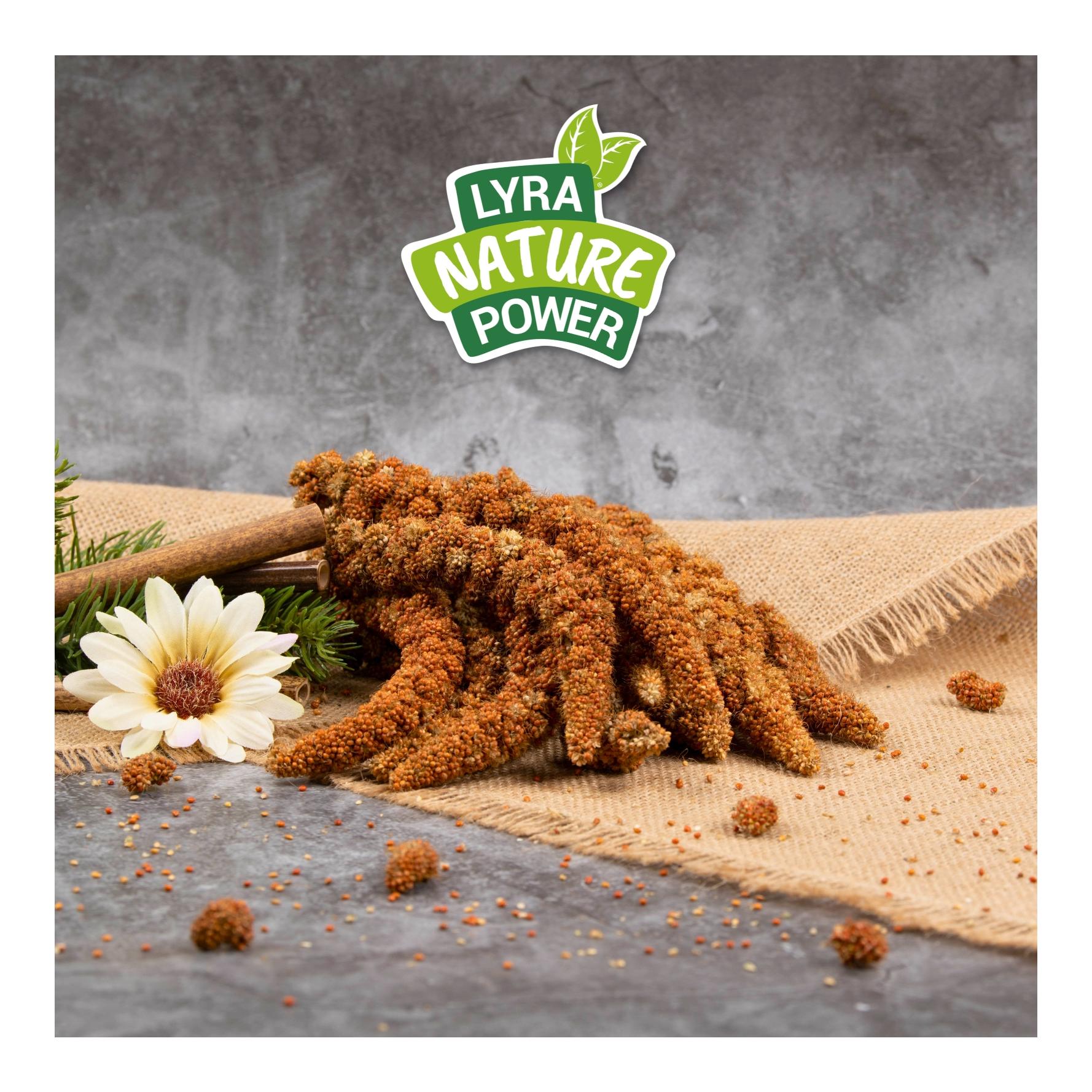 Lyra Pet Millet rouge