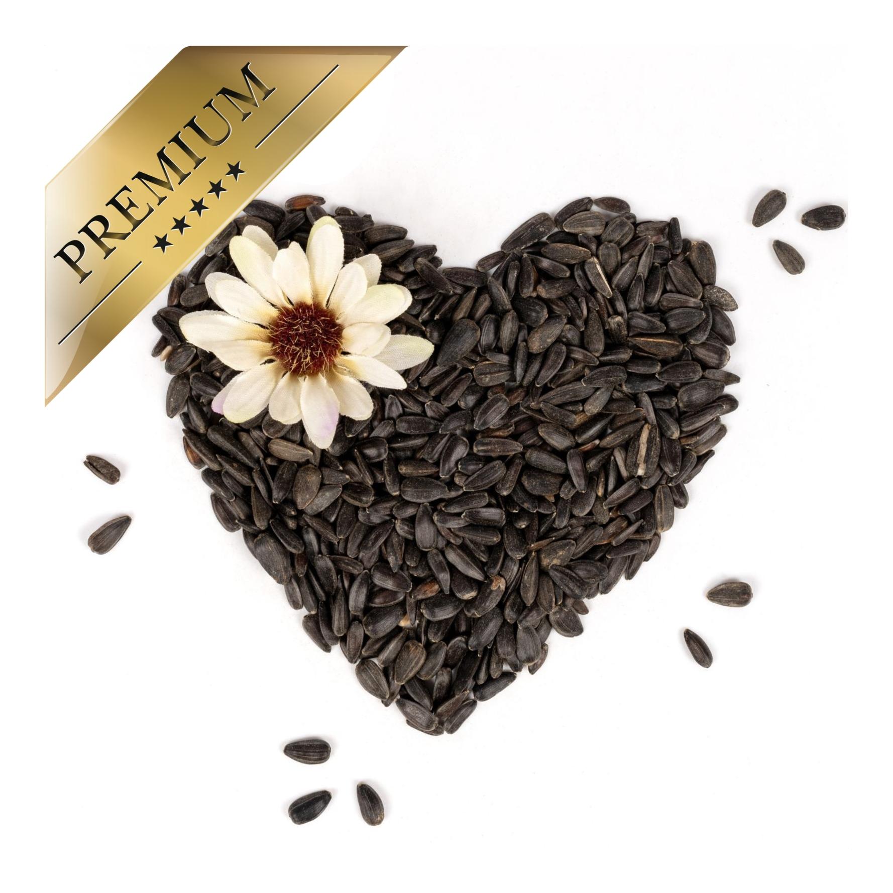 Lyra Pet Graines de tournesol noires
