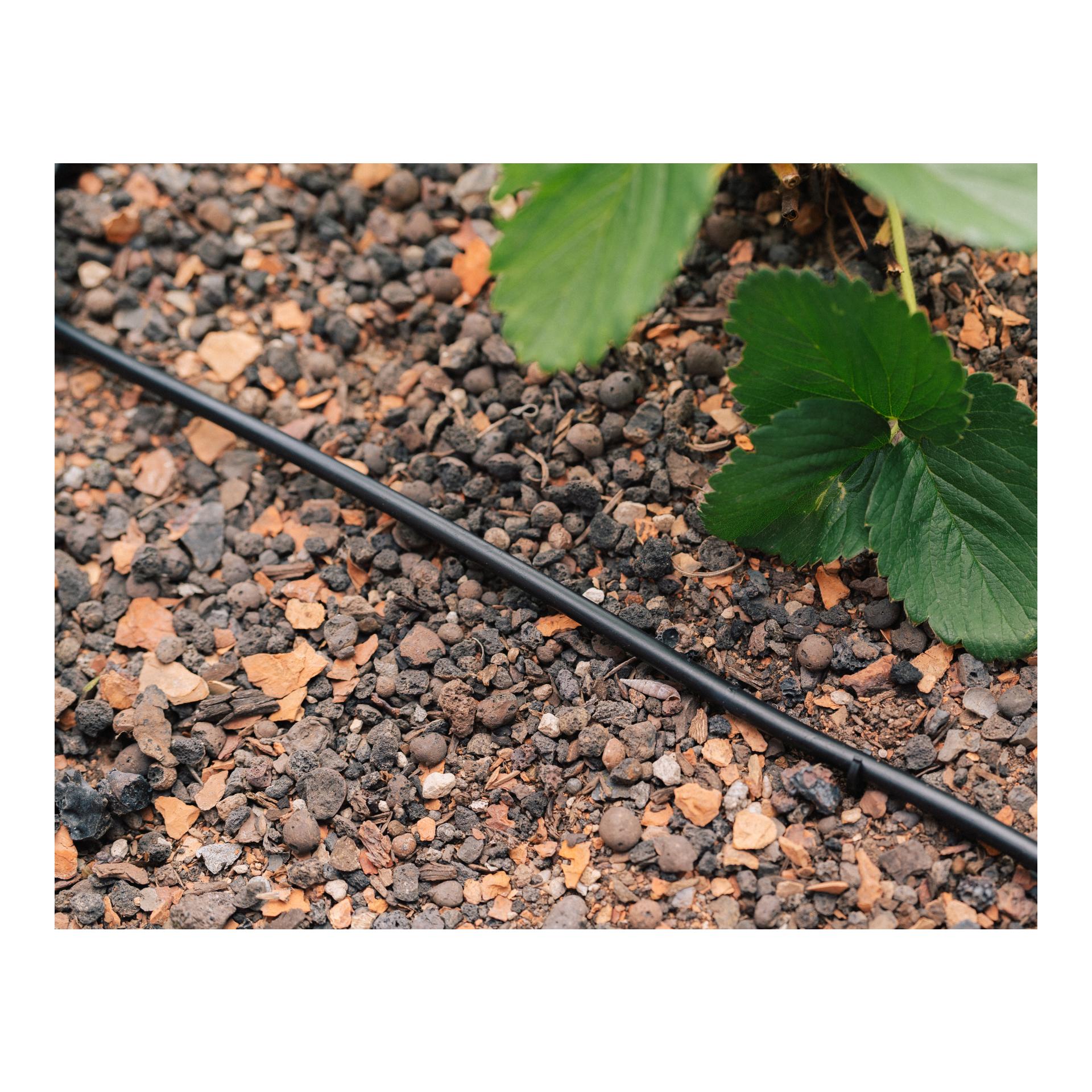Geka Drip-Set Arrosage des légumes et des parterres de fleurs