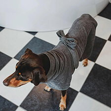HP-Hund-Bekleidung