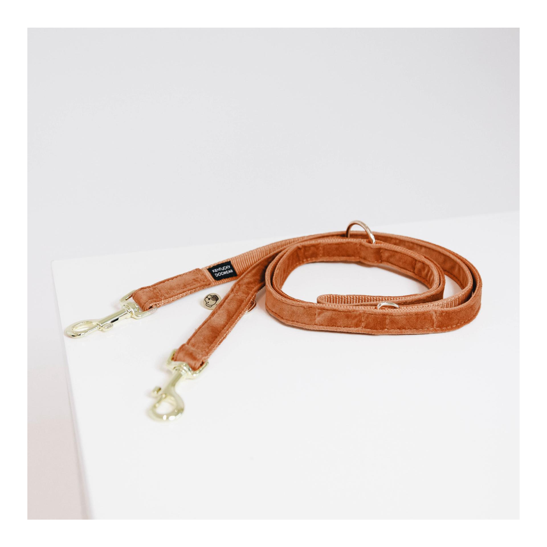 Kentucky Dogwear Hundeleine Velvet