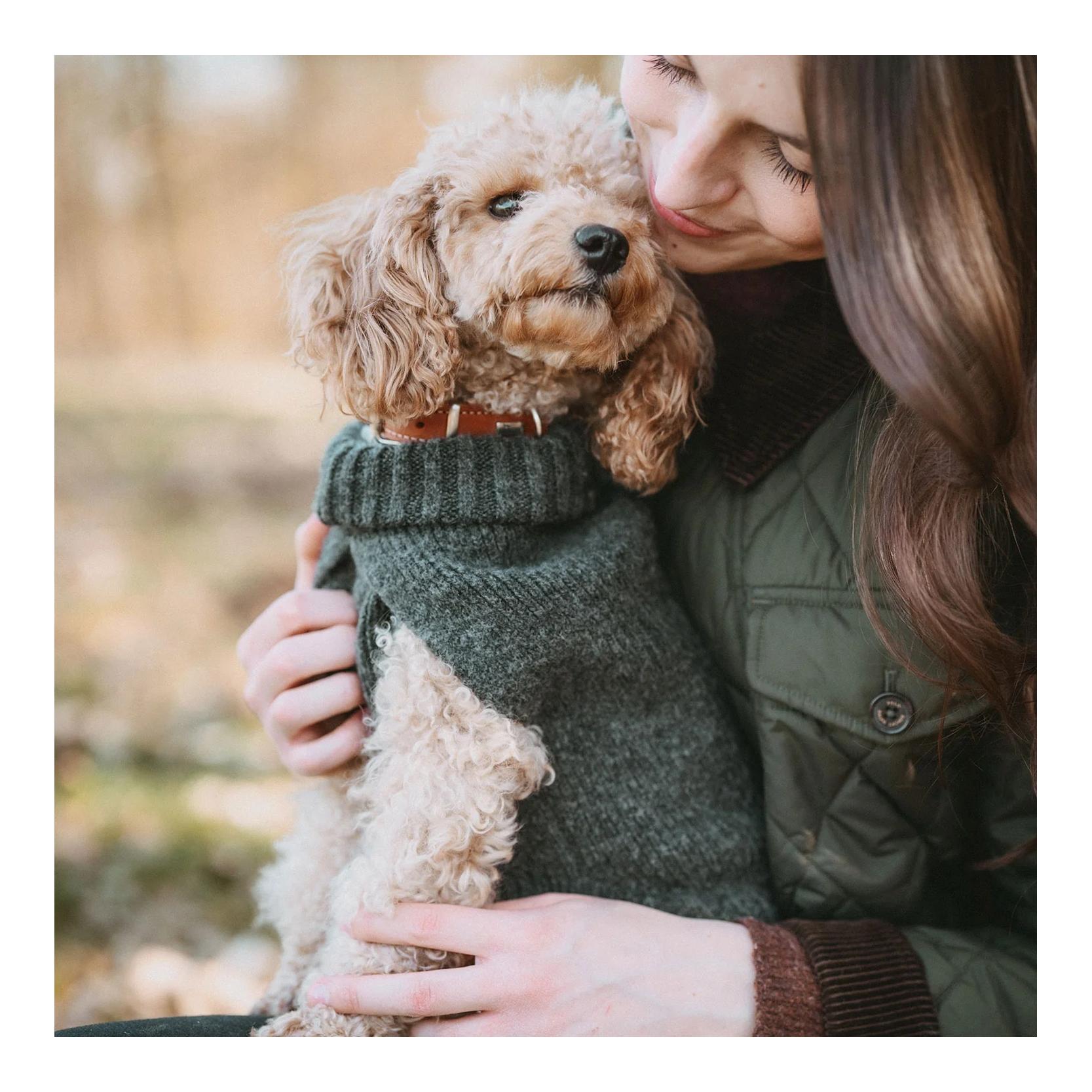 Hunter Pull pour chien Genève