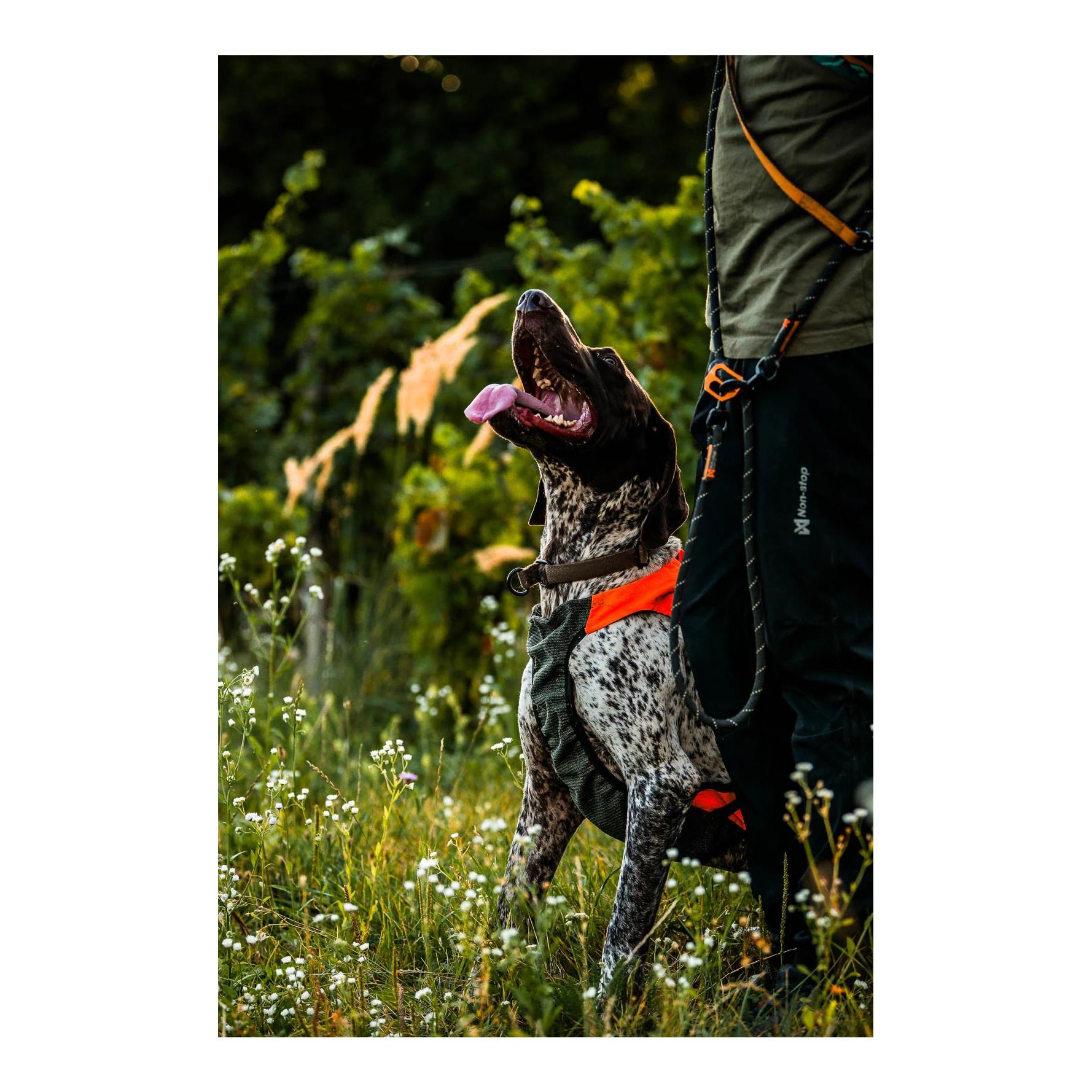 Non-stop Dogwear Gilet de protection GPS 2.0