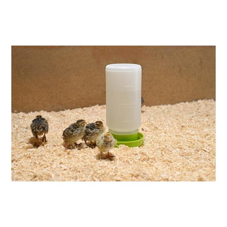 Kerbl Hobbyfarming Abreuvoir à cailles