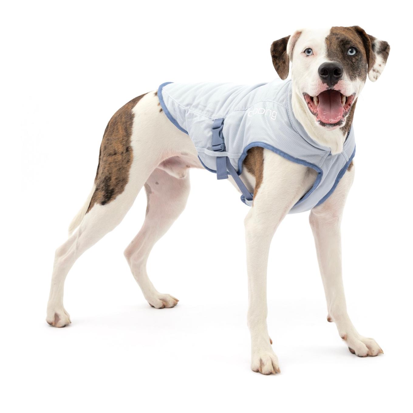 Kurgo Gilet réfrigérant pour chiens