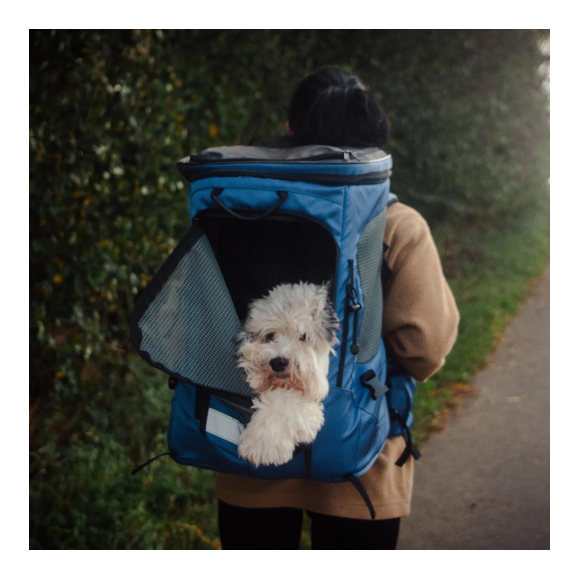 Wanderpfote Wanderpfote Daypack