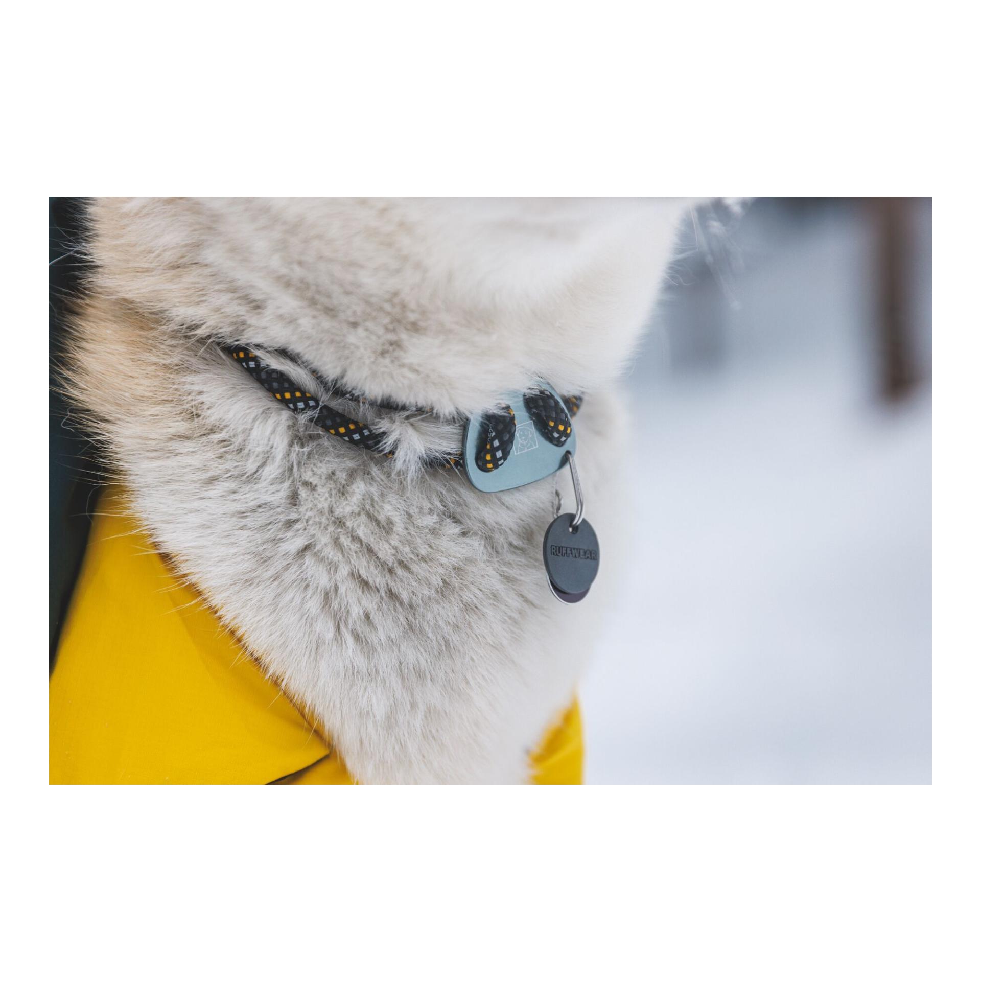 Ruffwear Knot-a-Collar Hundehalsband