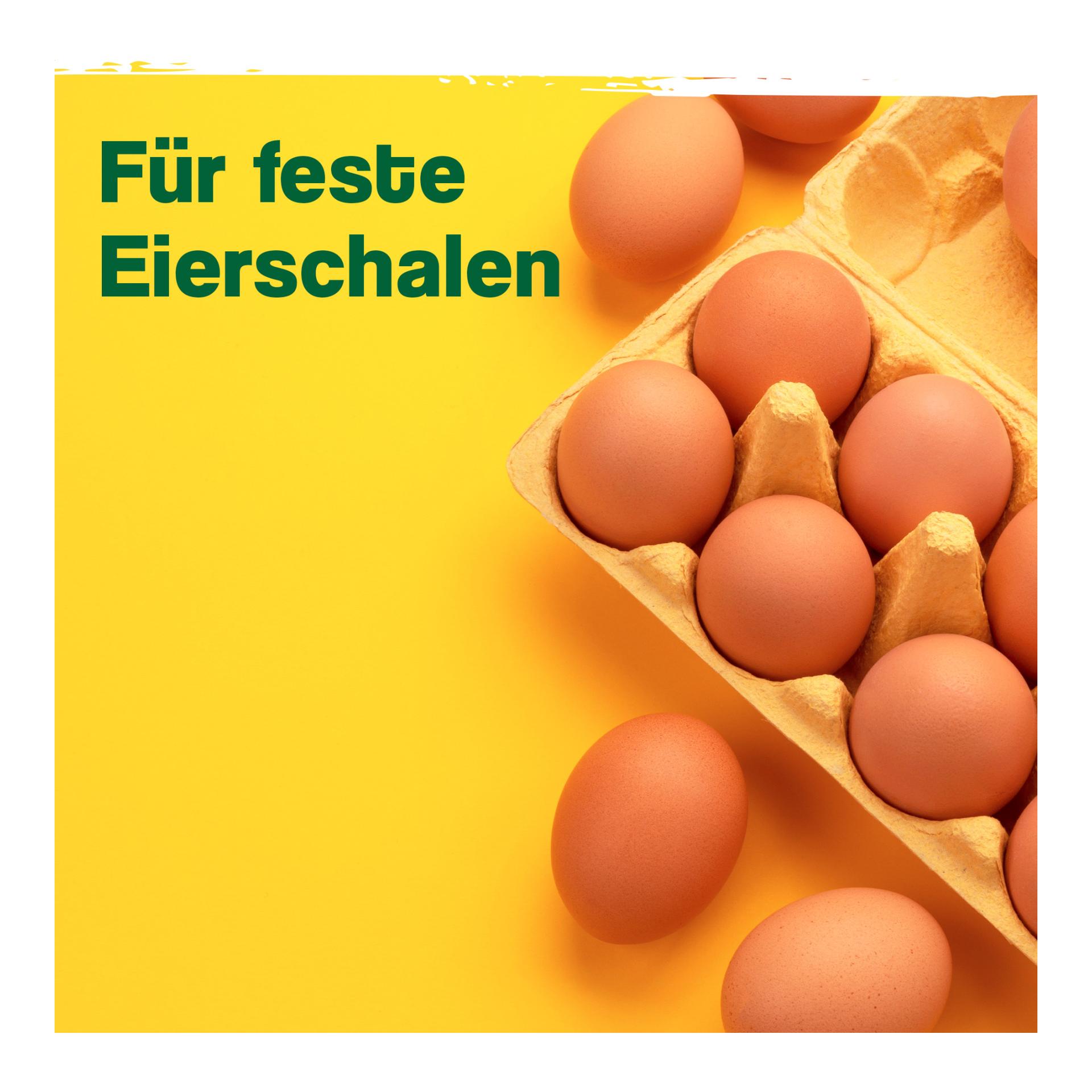 IdaPlus GoldenEgg - für feste Eierschalen