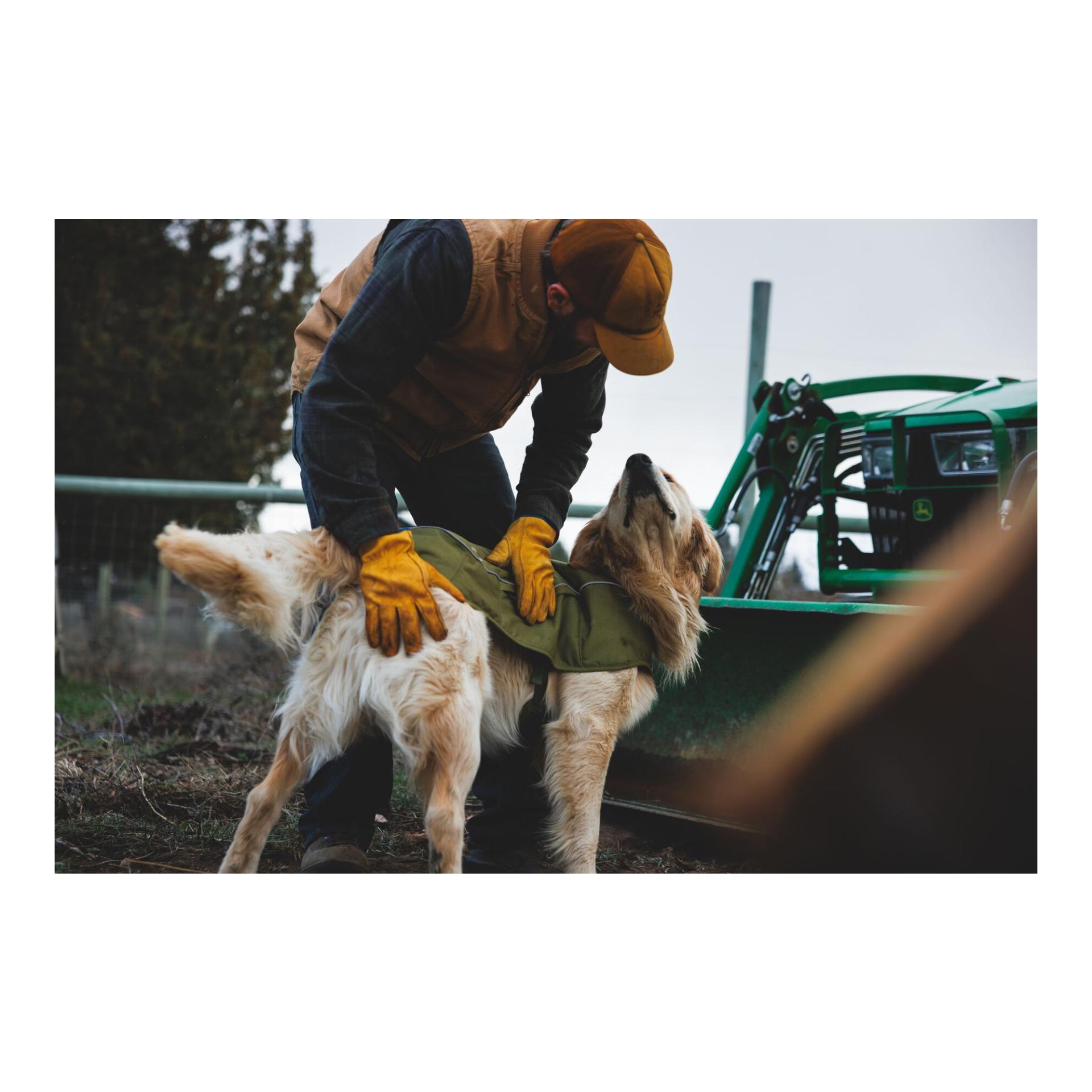 Ruffwear Gilet matelassé pour chien Overcoat Fuse™