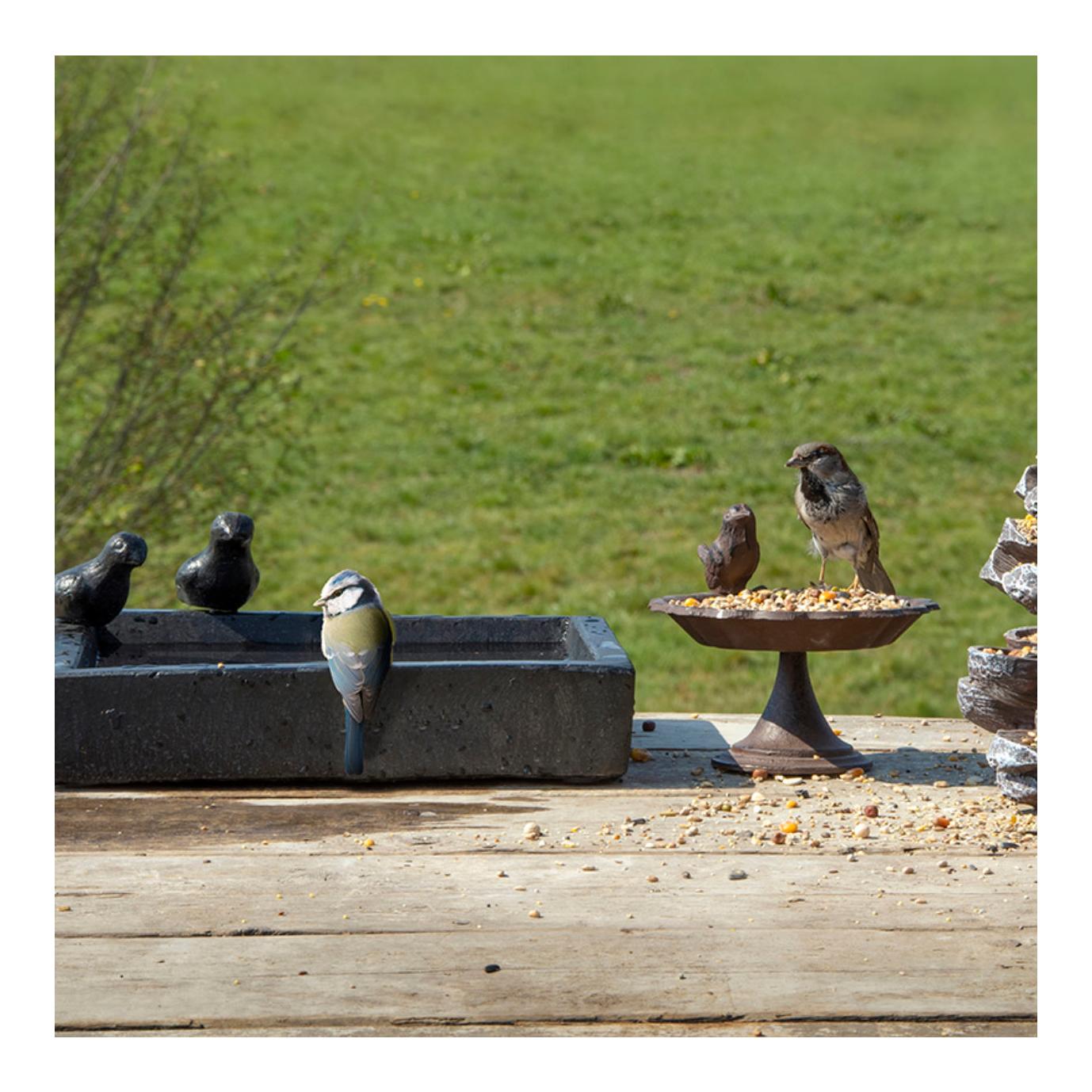 Esschert Vogeltränke Terrazzo quadratisch