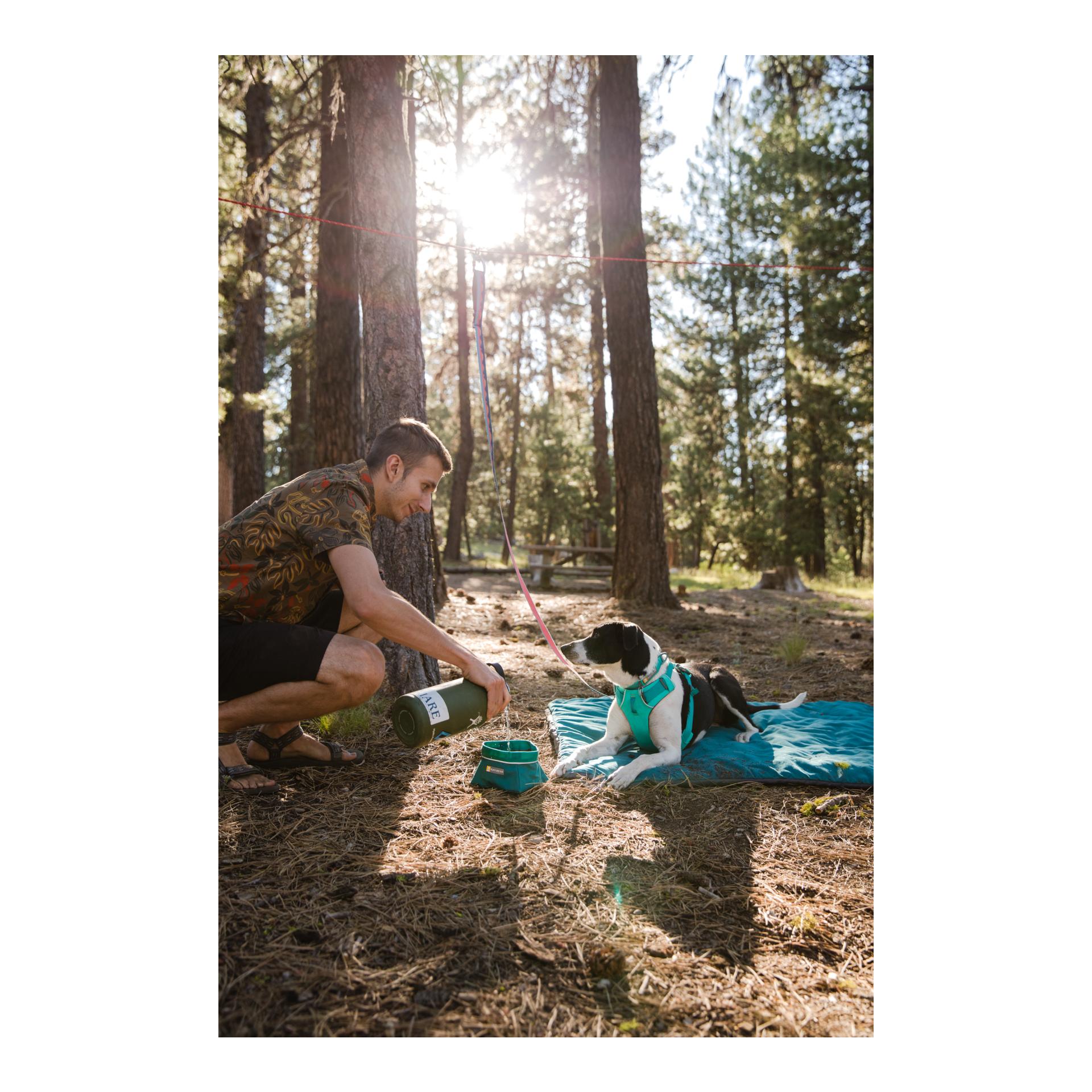 Ruffwear Knot-a-Hitch™ - Système d'attache pour chien