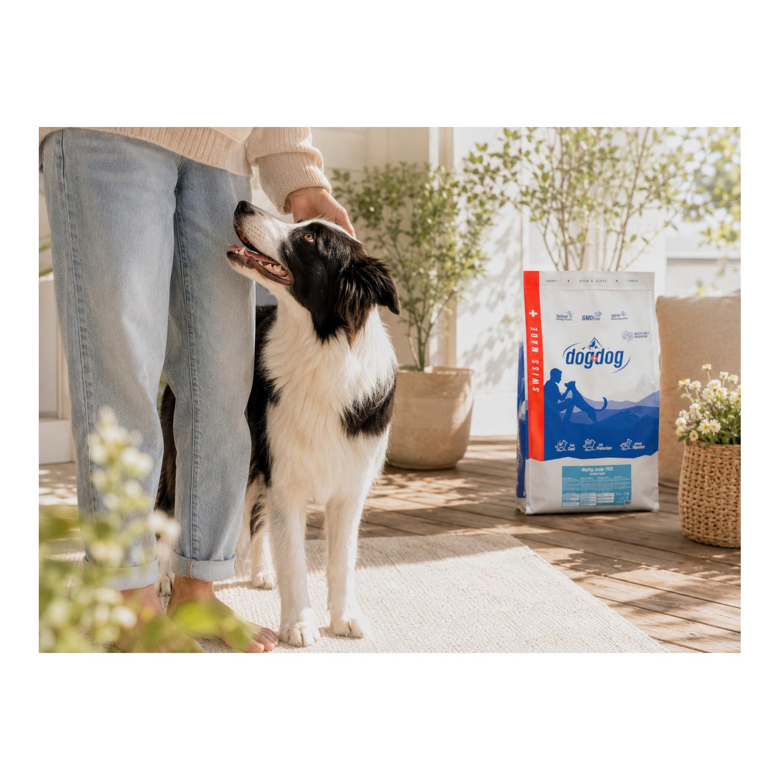 dogdog Croquettes Junior Agneau - Aliments pour chiots sans gluten