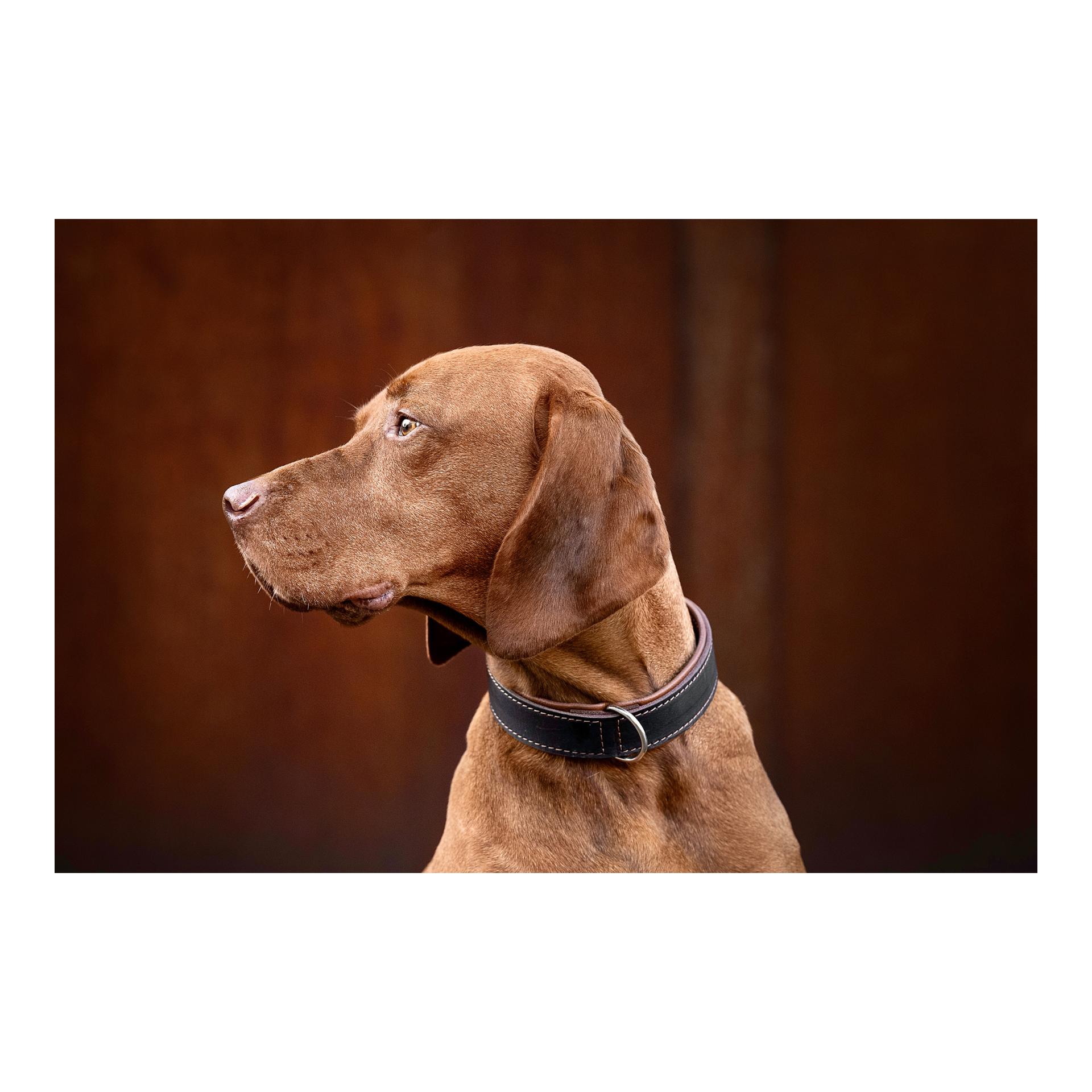 Maul Lederwaren Collier Klassik Premium - brun-cognac / argenté