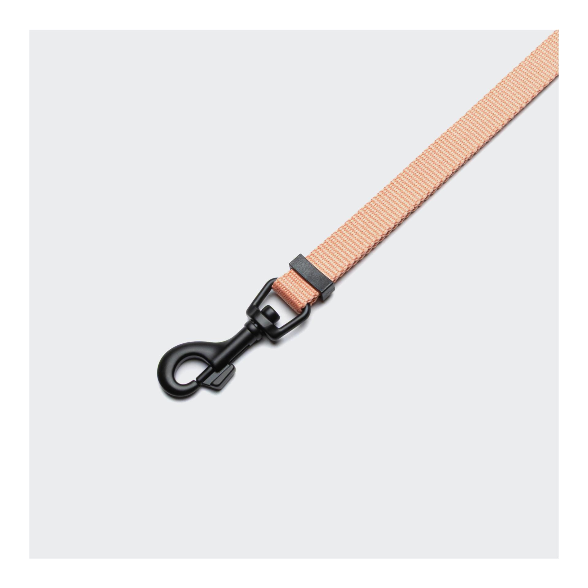 Cloud 7 L-1-Freihandleine
