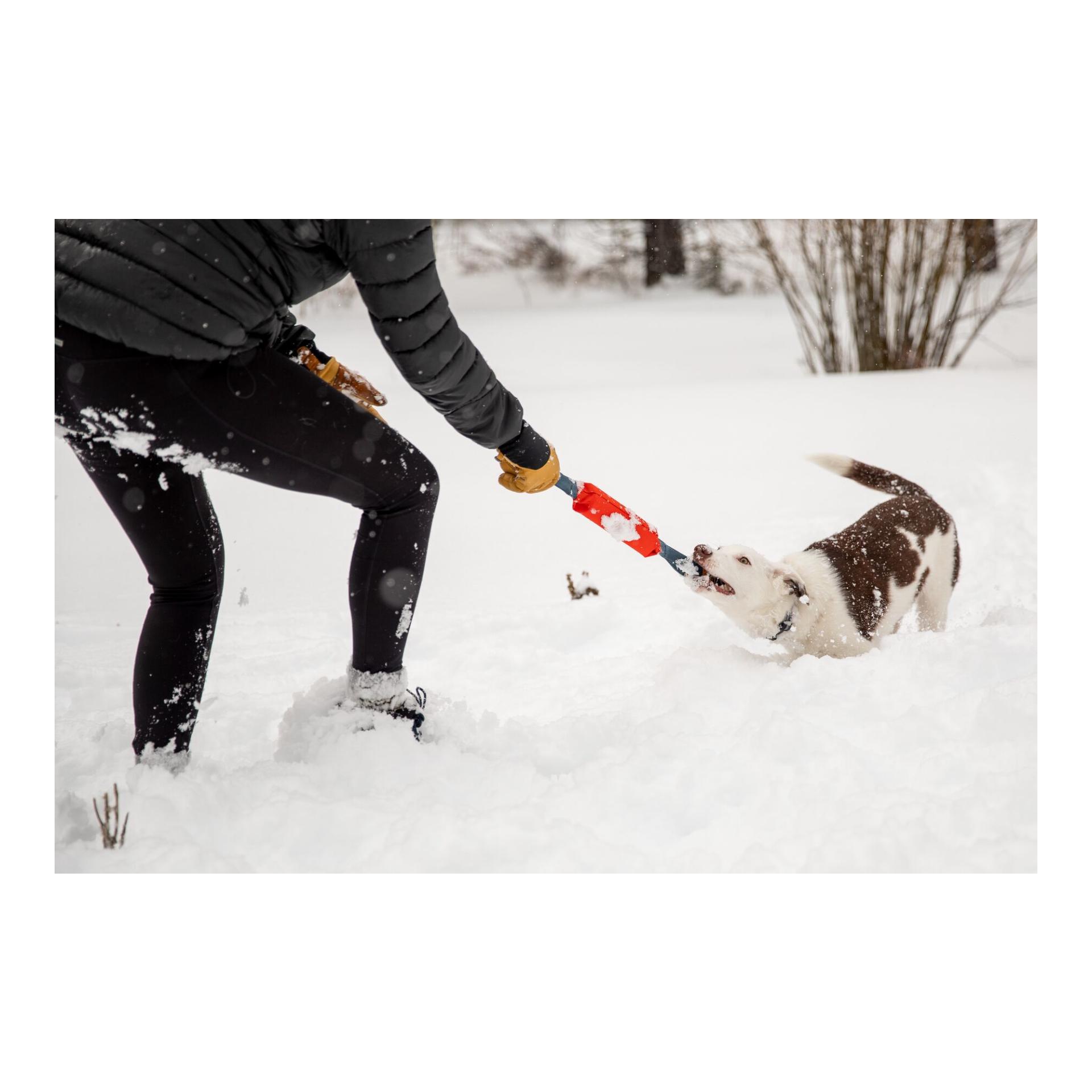 Ruffwear Pacific Loop™ Jouet pour chiens