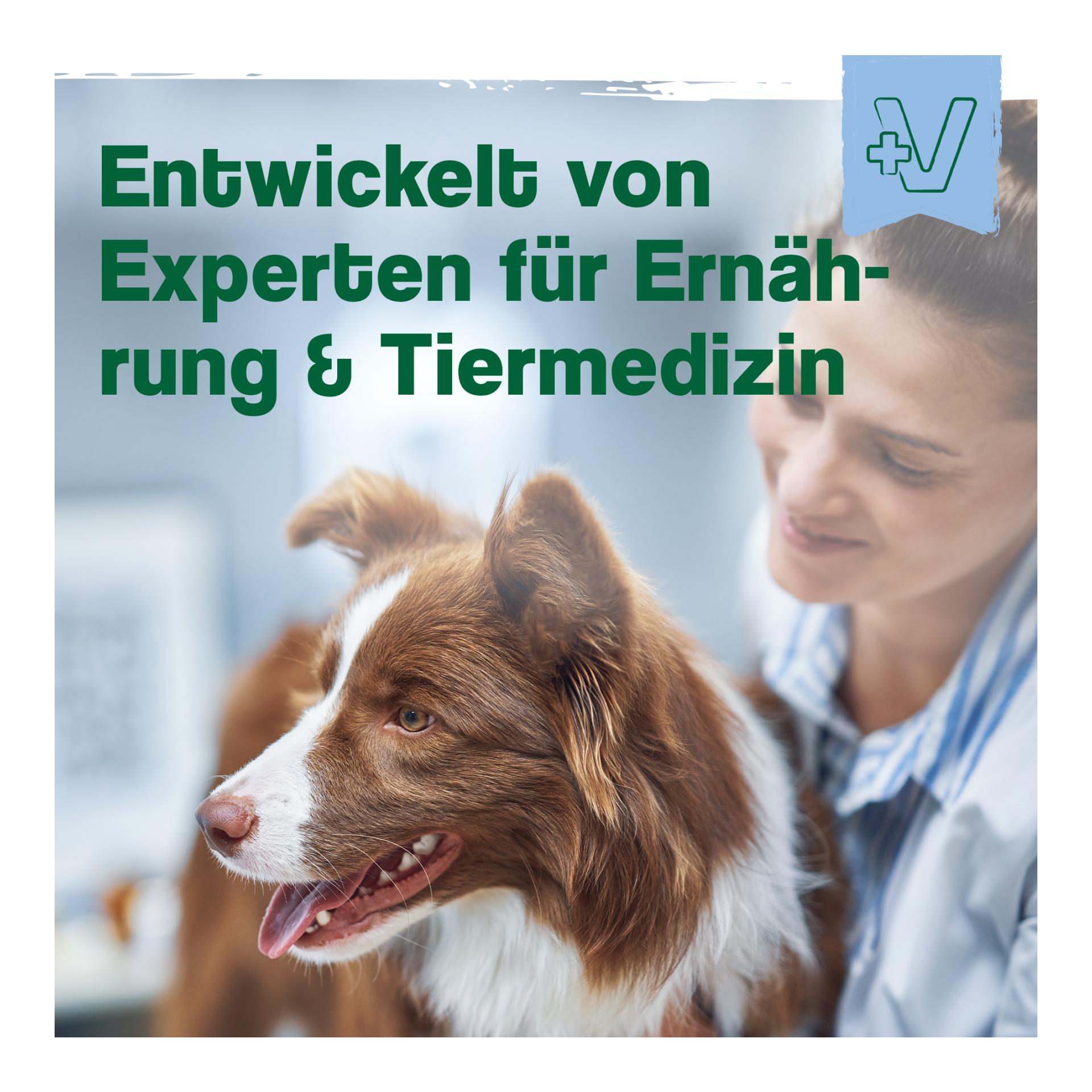 IdaPlus MultiVit Complex für Hunde