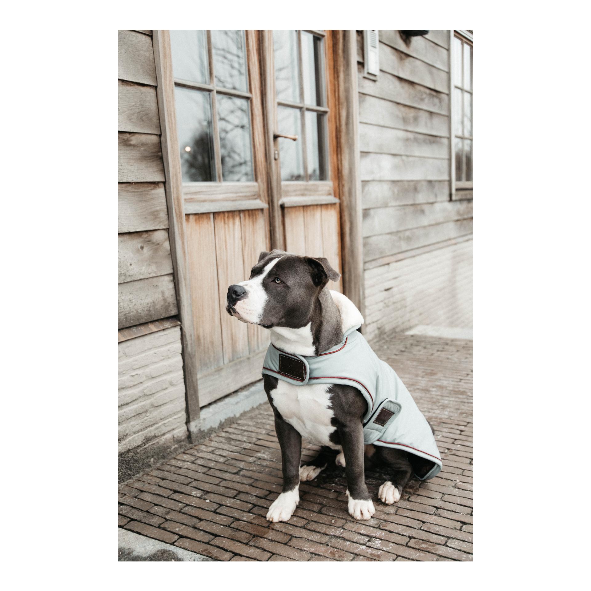 Kentucky Dogwear Manteau imperméable pour chien 160 g - Bleu poussiéreux
