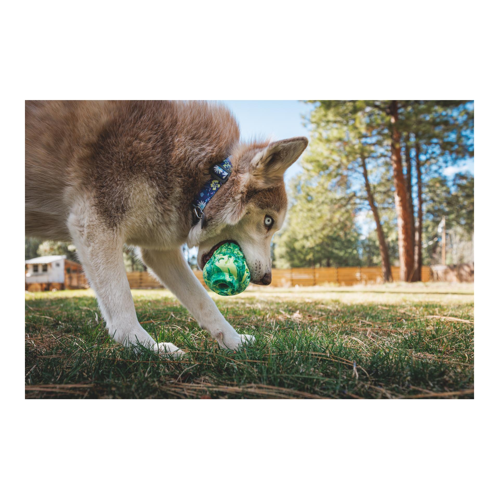 Ruffwear Jouet pour chien Morel