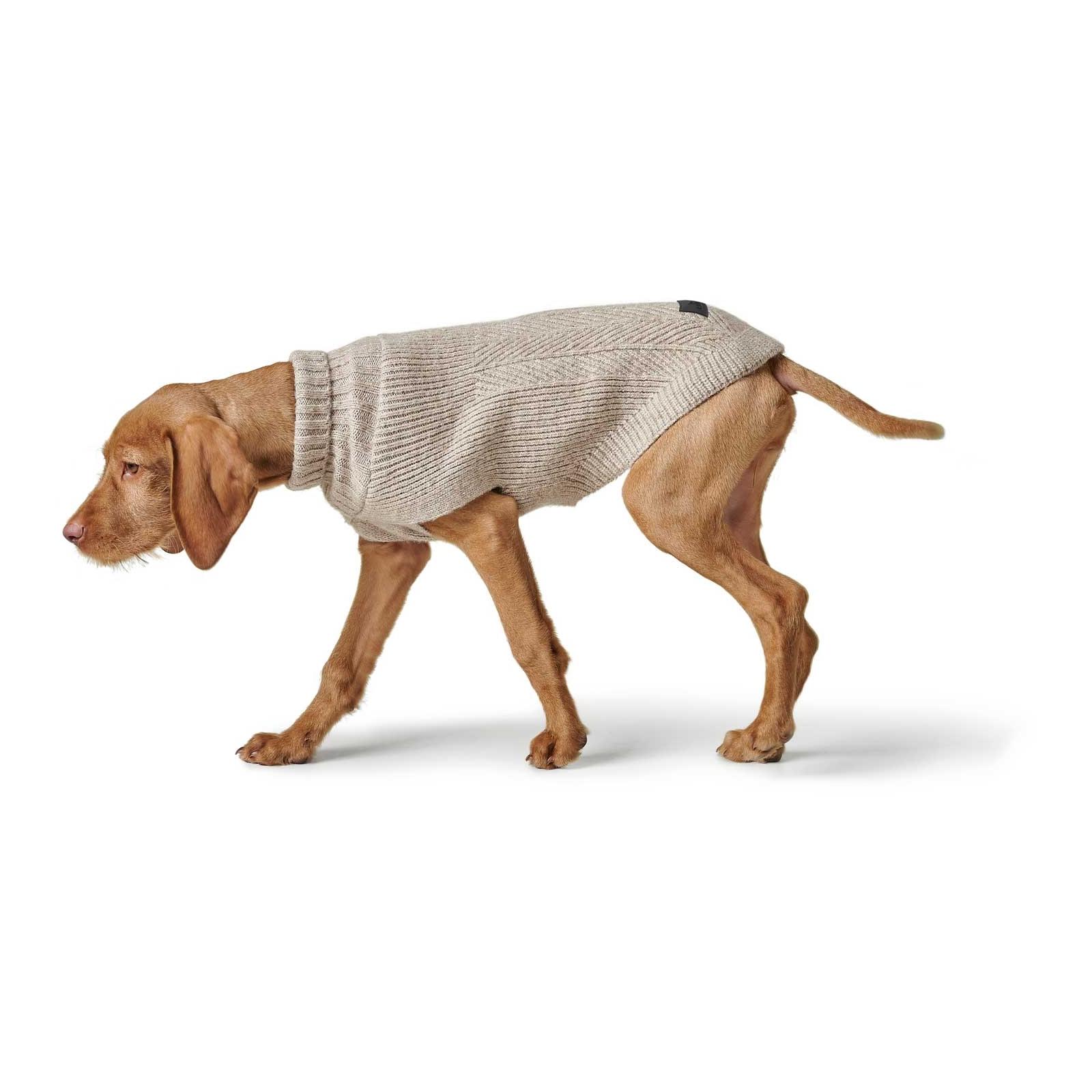 Hunter Pull pour chien Genève