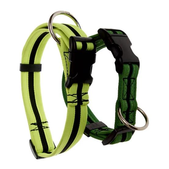 Beat Grossenbacher Halsband eingefasst, direkt