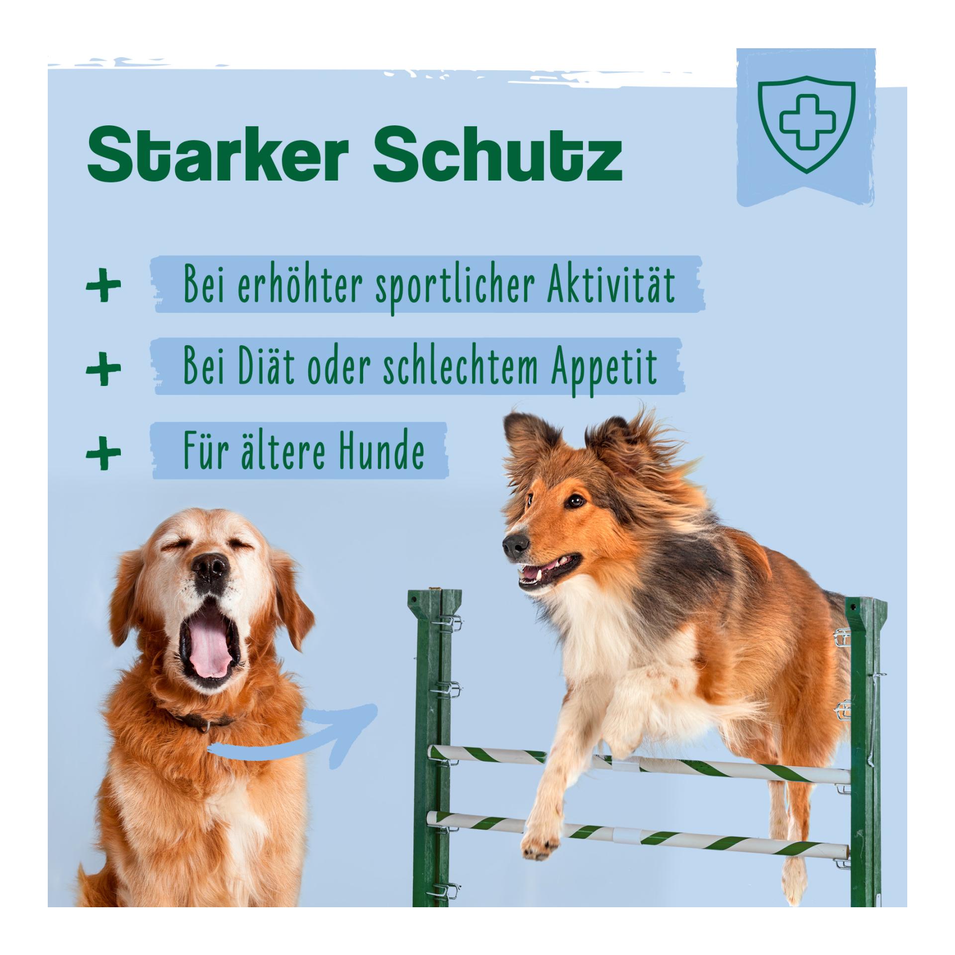 IdaPlus MultiVit Complex für Hunde