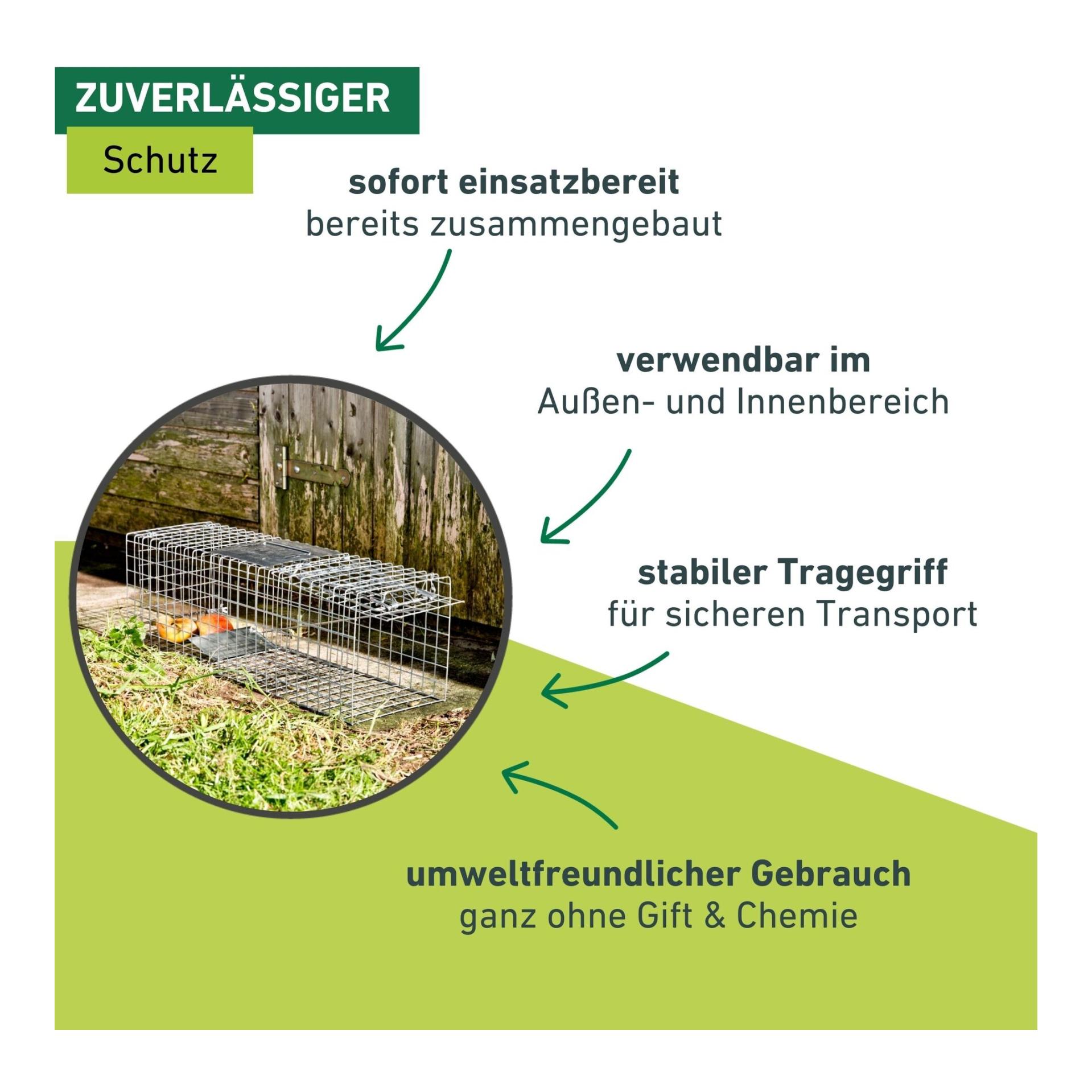 Windhager Piège à martres avec cage grillagée galvanisée