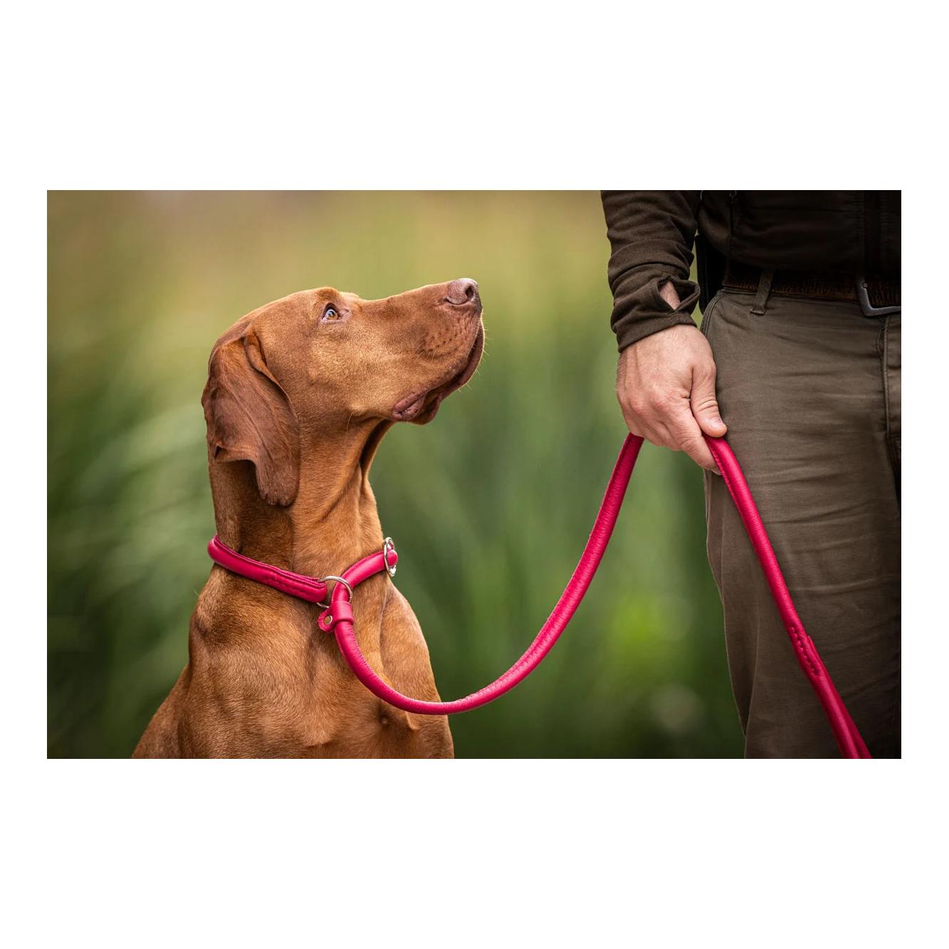 Maul Lederwaren Laisse retriever Lipstick
