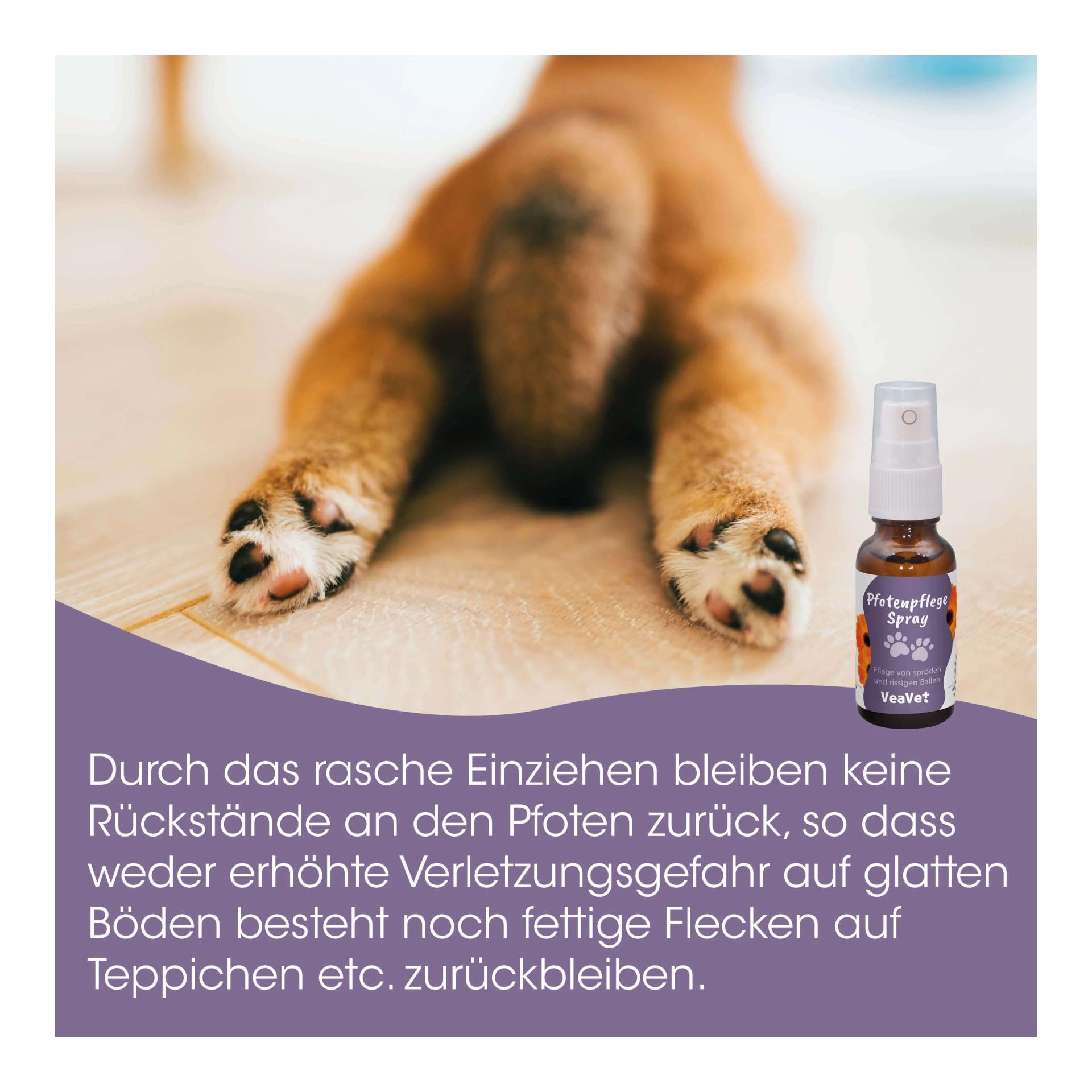 cdVet VeaVet Pfotenpflegespray