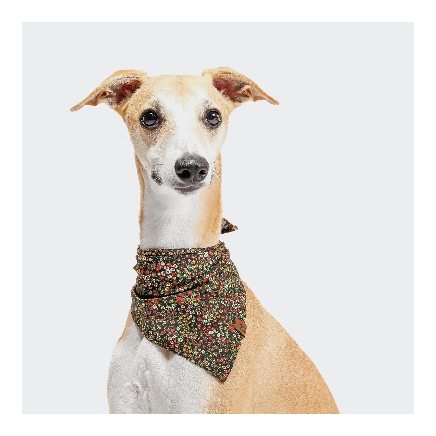 Cloud 7 Bandana pour chien