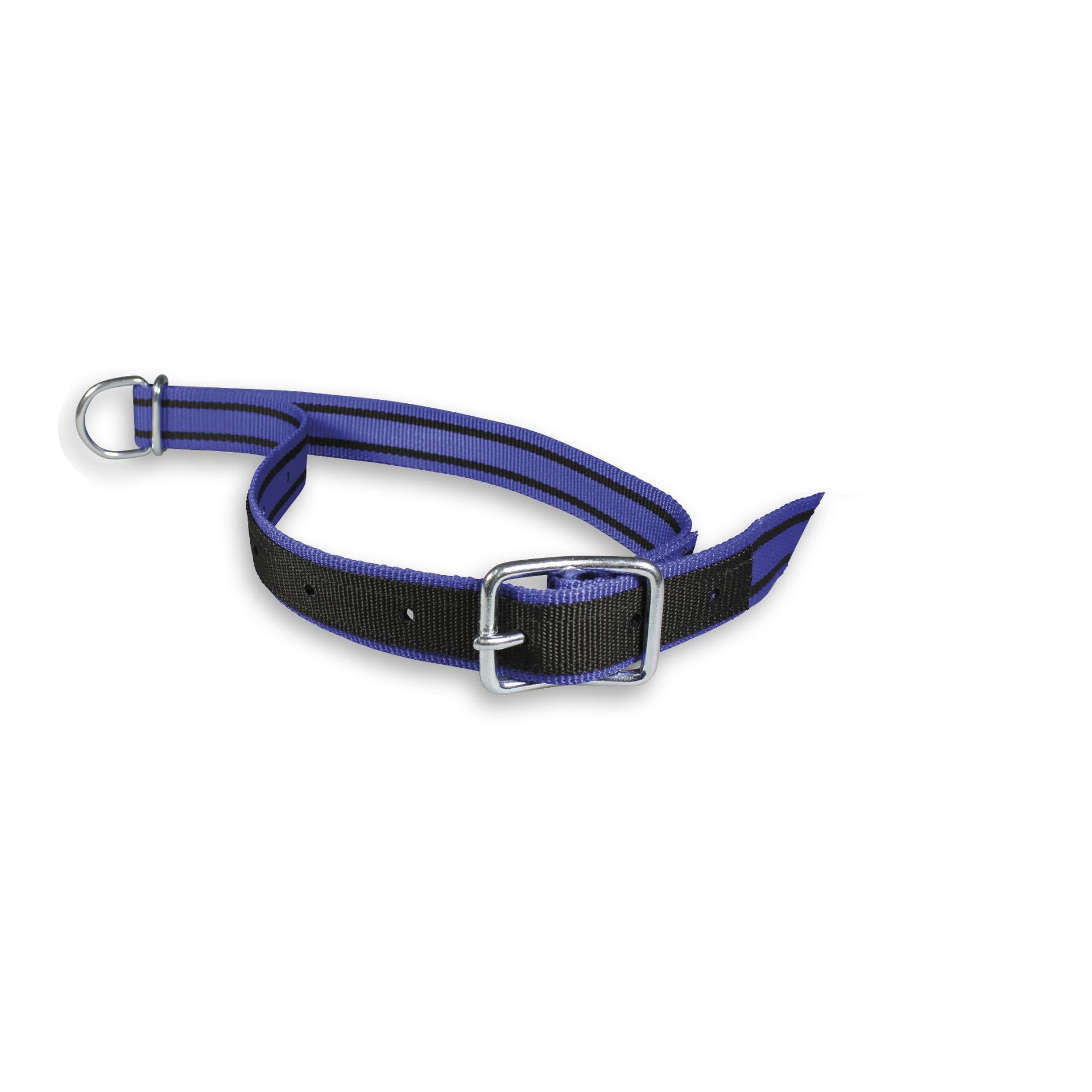 Mainer Halsband mit Dornschnalle 40 mm