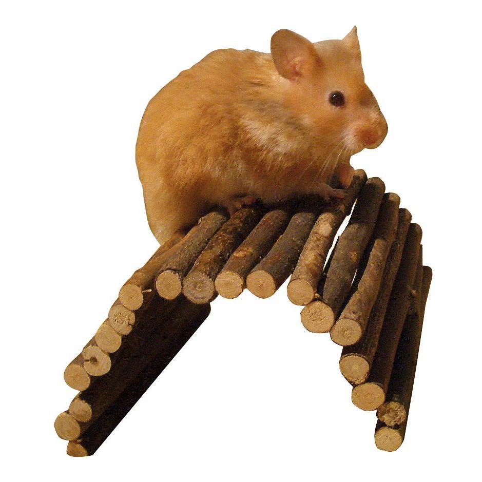 Kerbl Pet Weidenbrücke für Nager