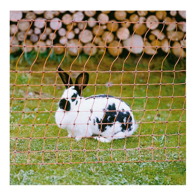 Euro Netz Clôture électrique pour lapin - pointe simple