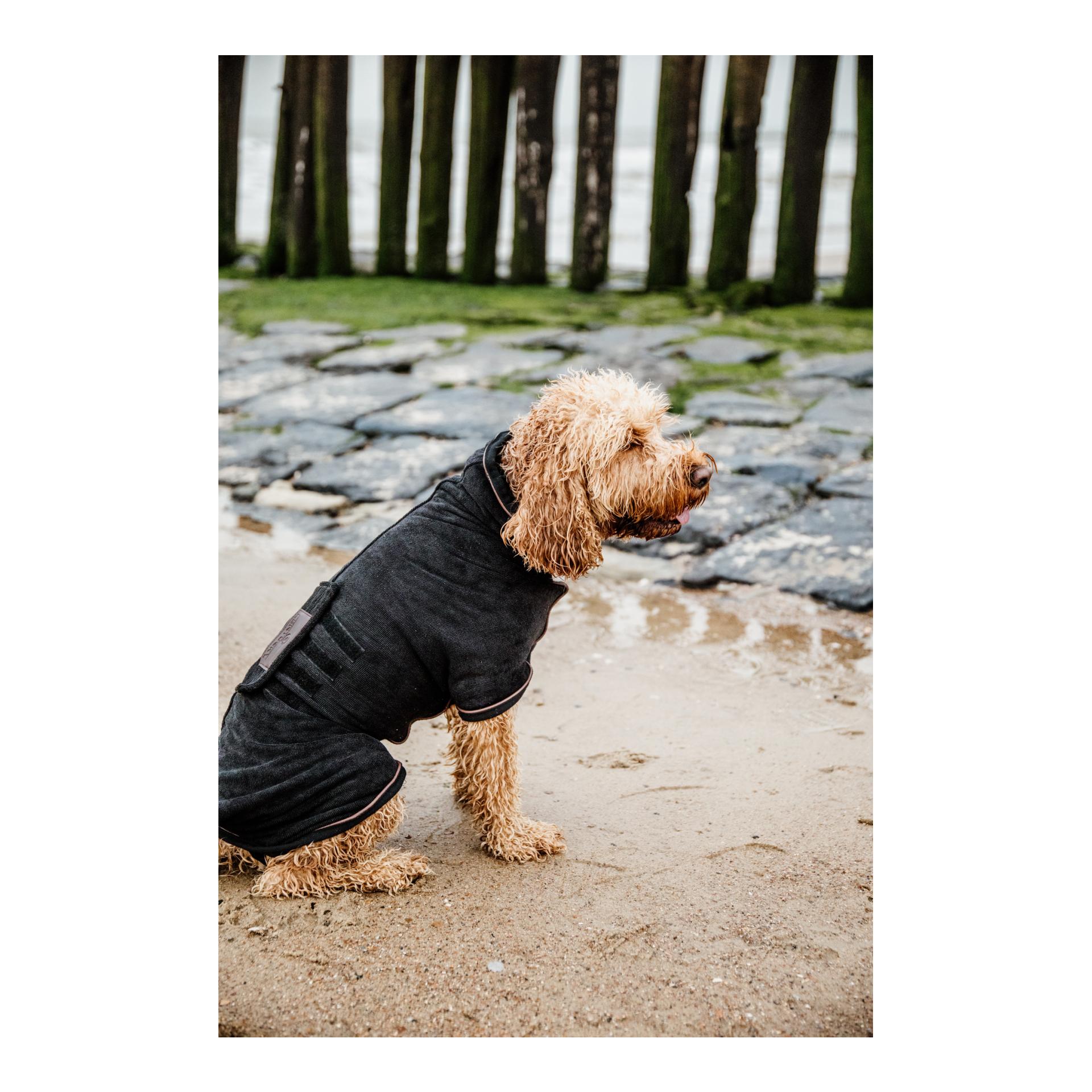 Kentucky Dogwear Hundemantel Dog Coat Towel