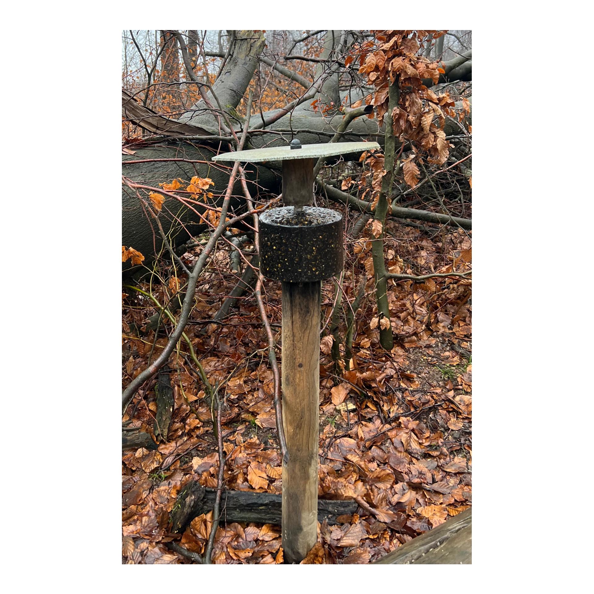 Wildlutscher Spezial Leckstein Salz Mais Dark
