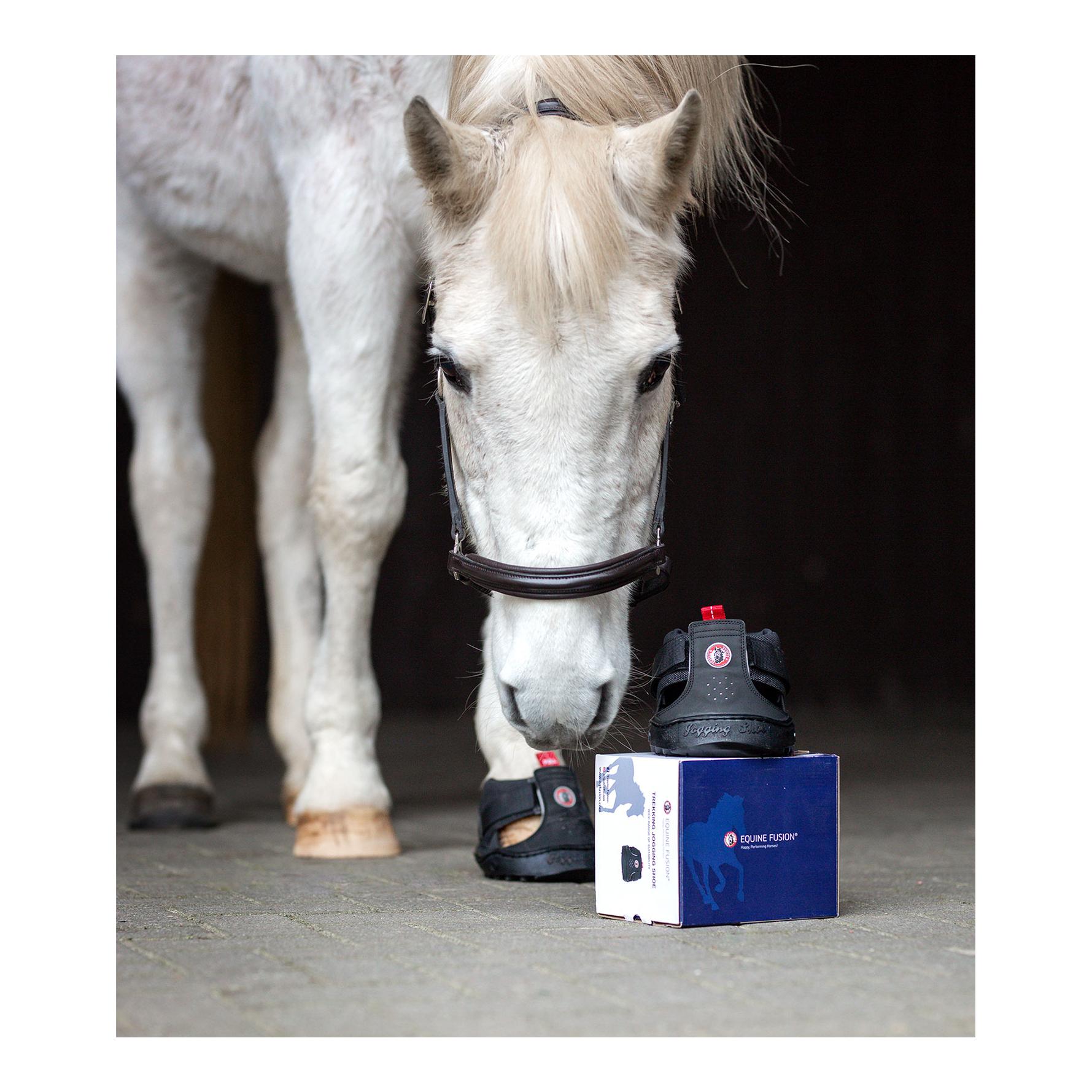 Equine Fusion Equine Fusion Trekking Shoe Regular