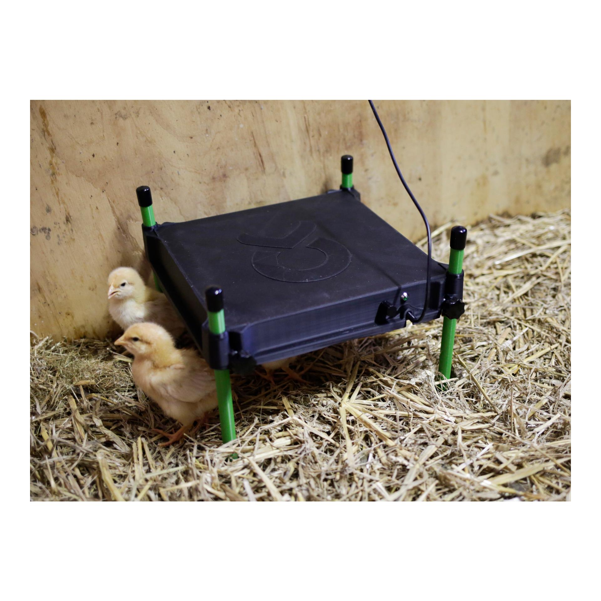 Kerbl Hobbyfarming Plaque chauffante CosyHeat pour poussins - petite