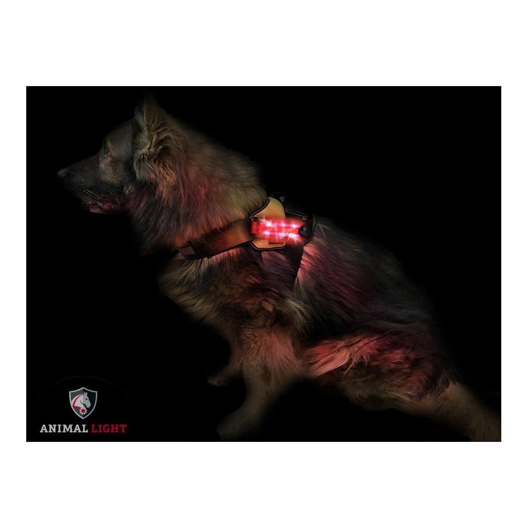 Animal Light Leucht - Hundegeschirr "Flex" - rot