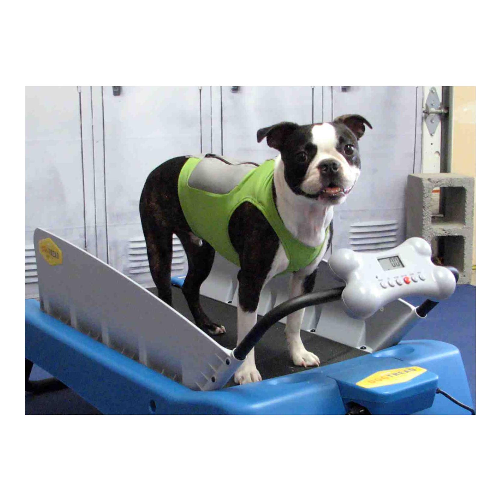 FitPaws K9FIT Vest Starter Kit