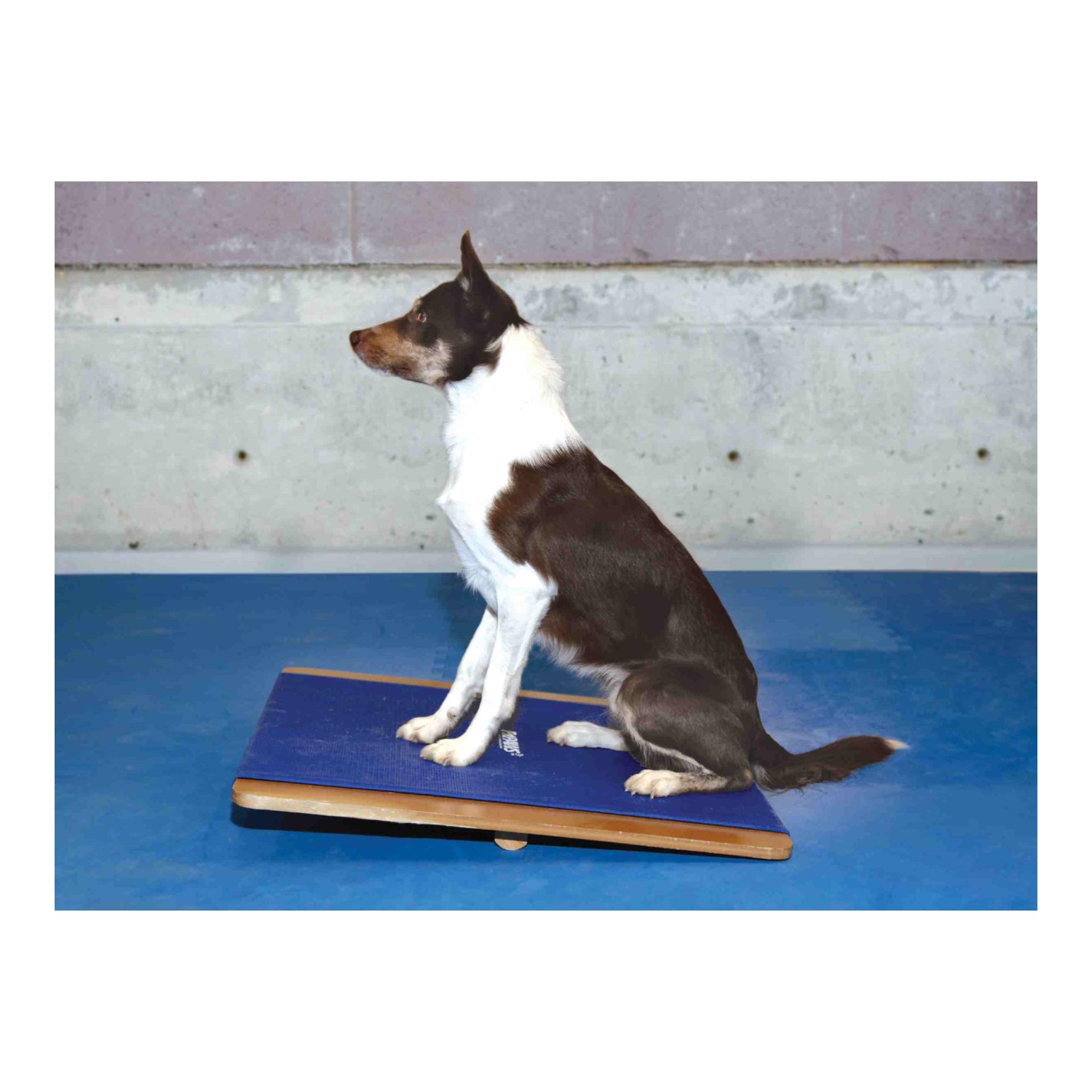 FitPaws Planche Giant Rocker, carrée