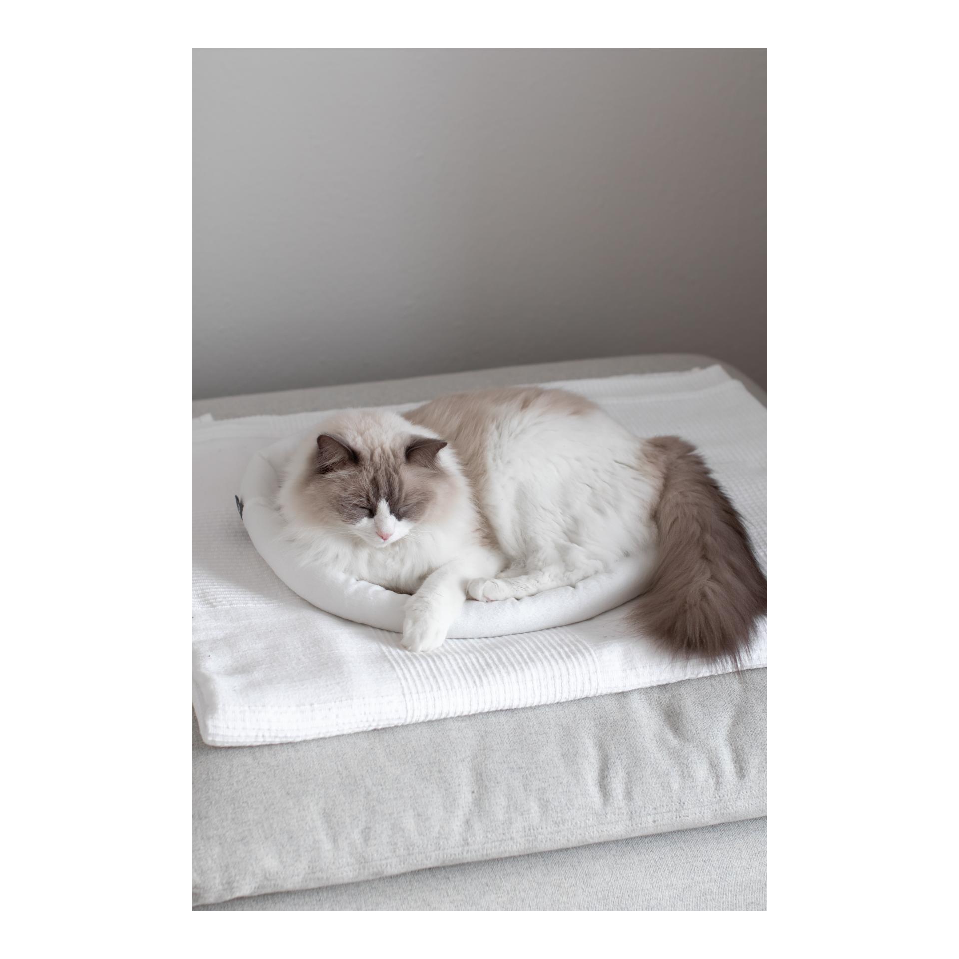 Kerbl Pet Kuschelbett Sweety - beige/nude