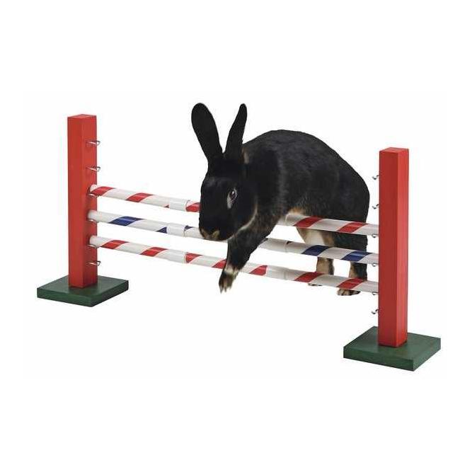 Kerbl Pet Agility Steilsprung Rot