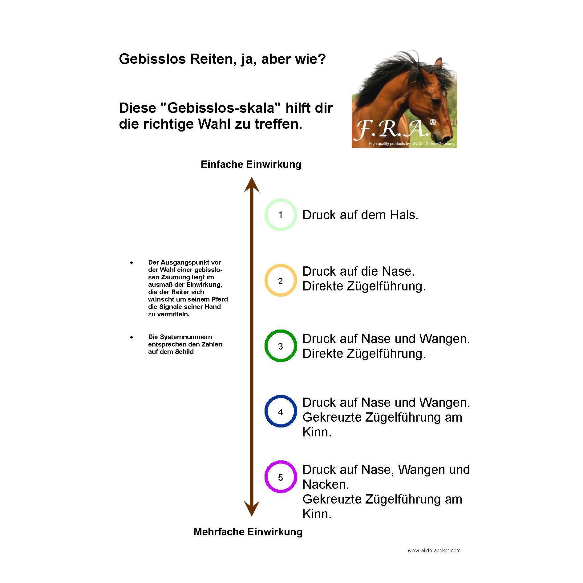 F.R.A Glory System 2, Hackamore mit Perlen
