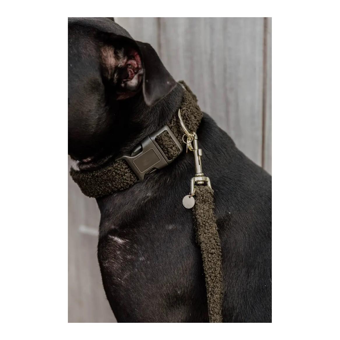 Kentucky Dogwear Collier de chien Teddy Fleece