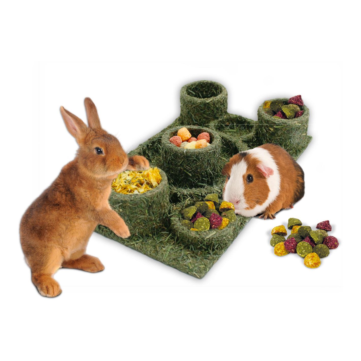 JR Farm Fun Park für Kaninchen und Meerscheinchen