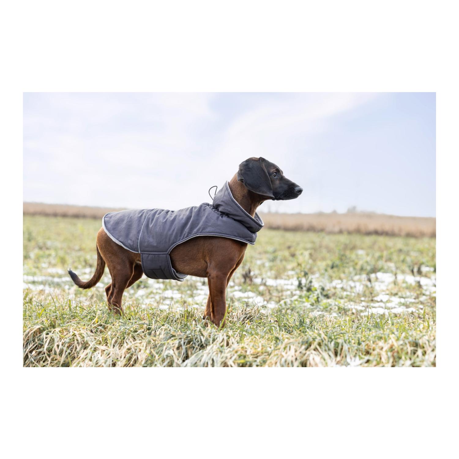 Kerbl Pet Manteau pour chien Montreal