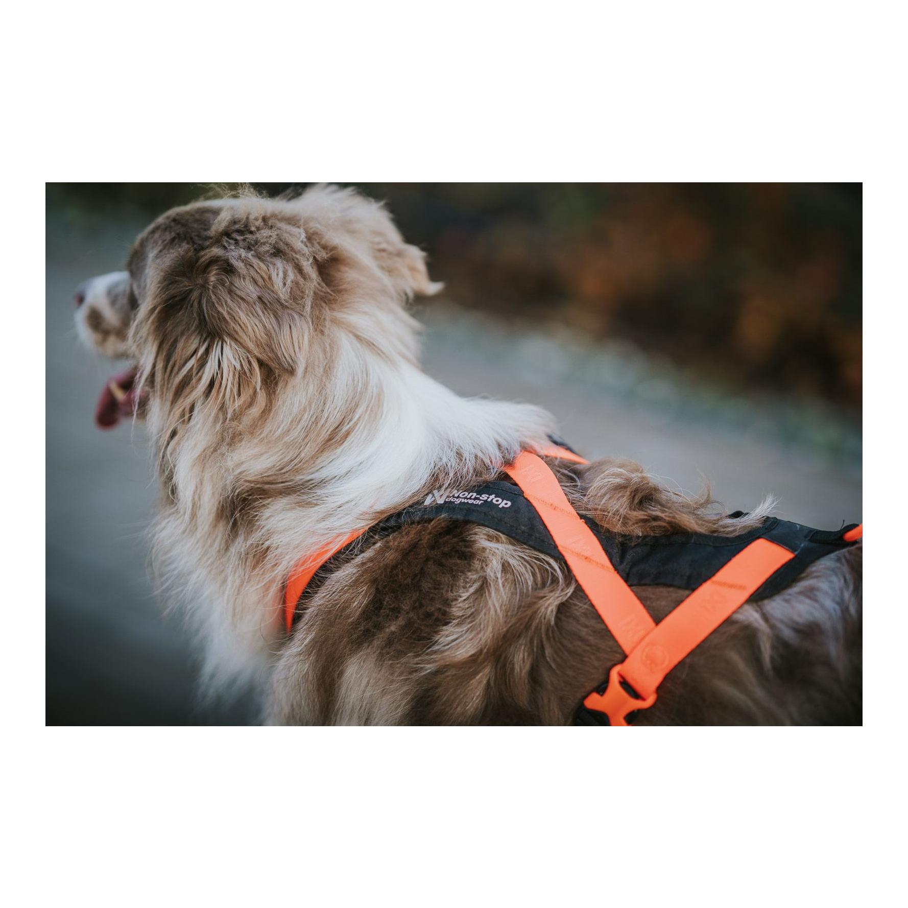 Non-stop Dogwear Harnais pour chien Rush Harness
