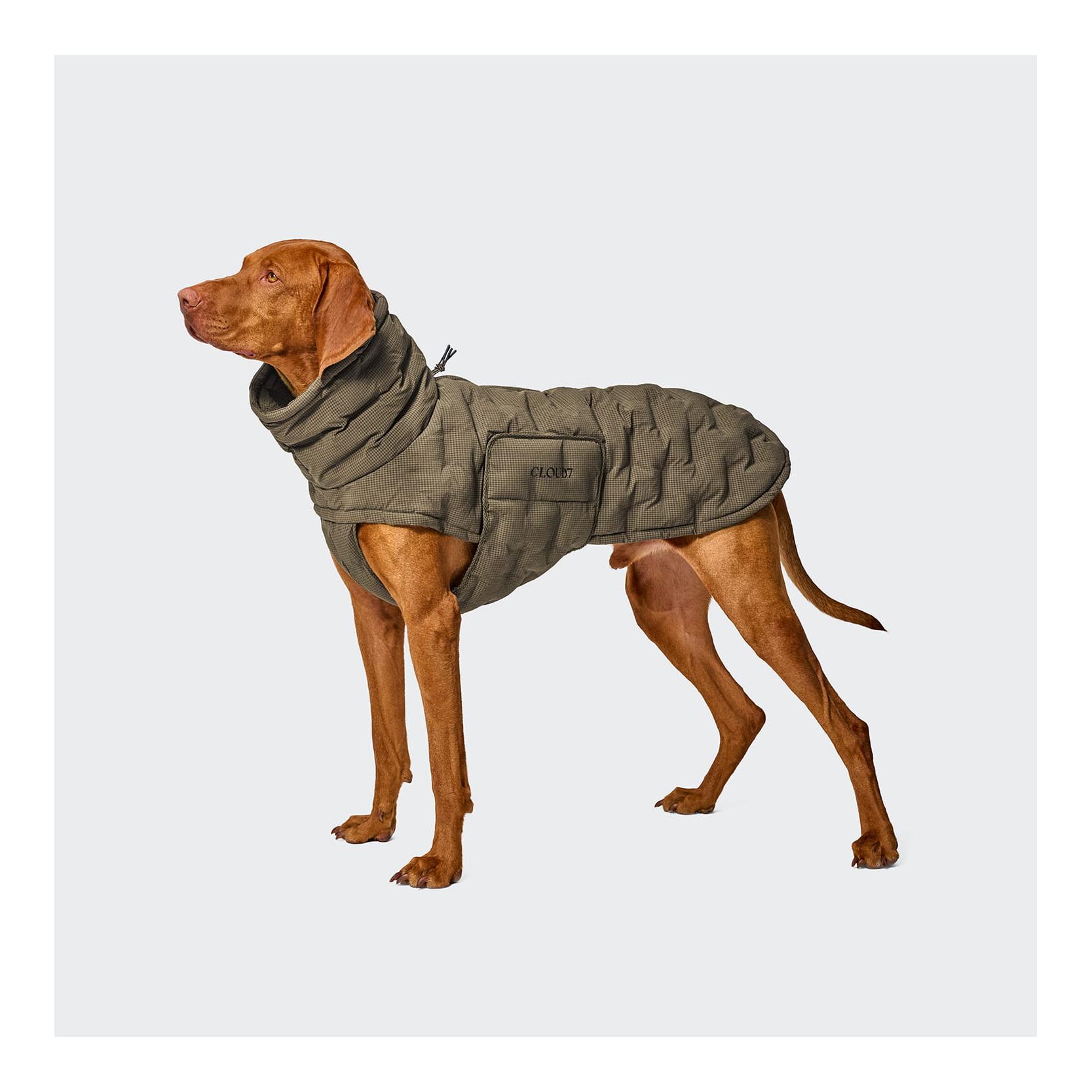Cloud 7 Manteau pour chien Alaska Seersucker