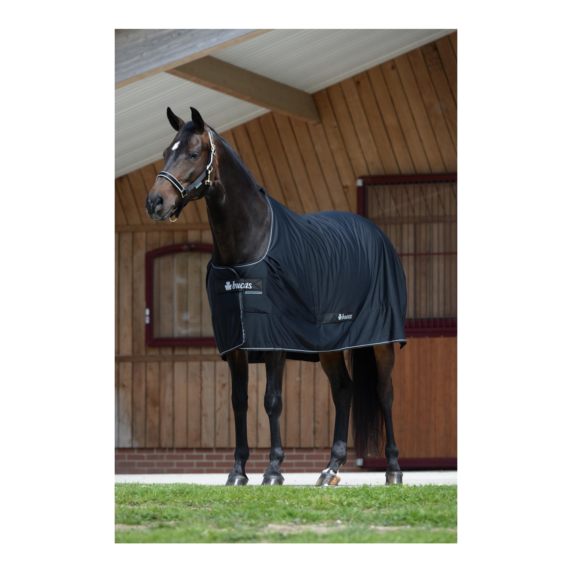 Bucas Abschwitzdecke Shamrock Power - schwarz