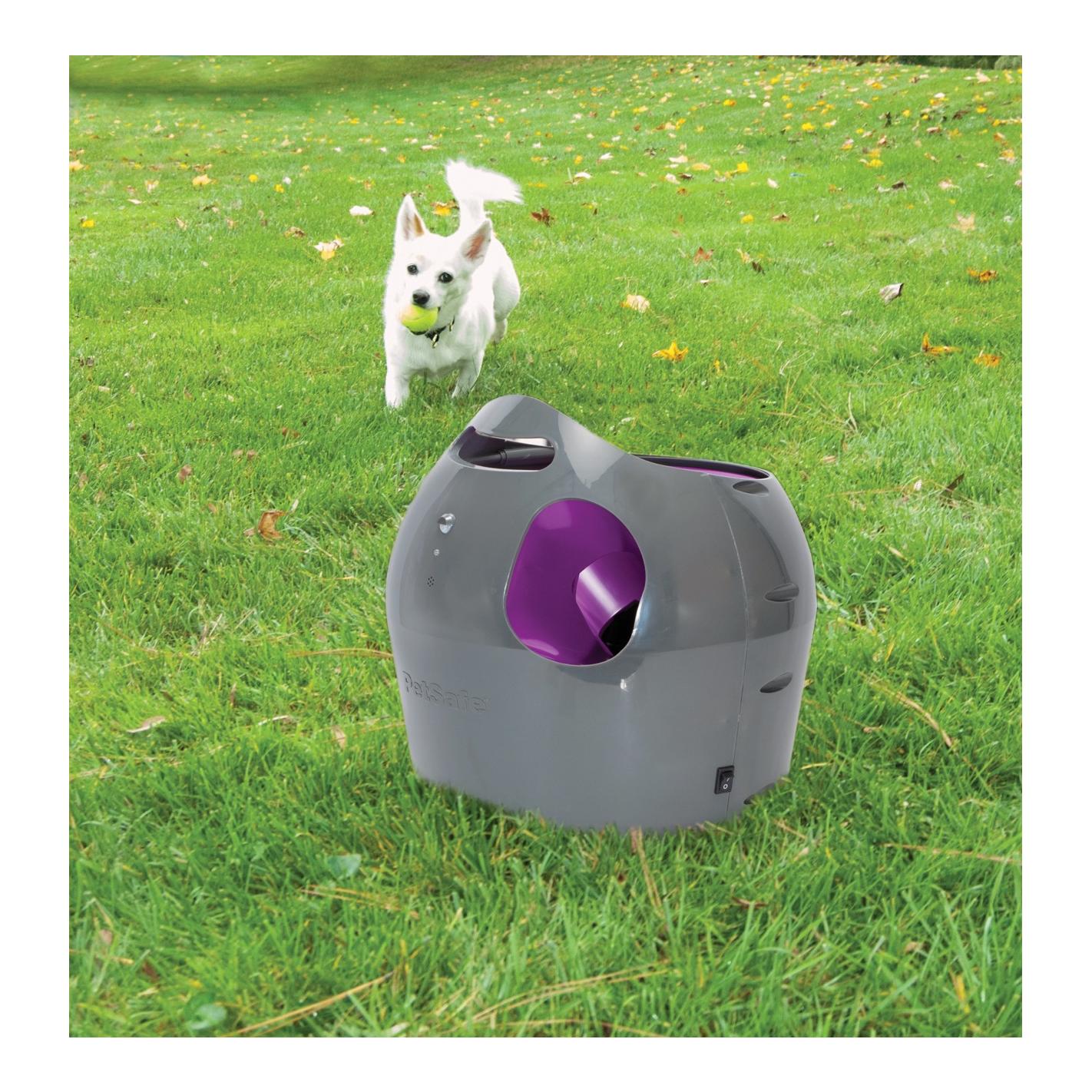 PetSafe Automatischer Ballwerfer